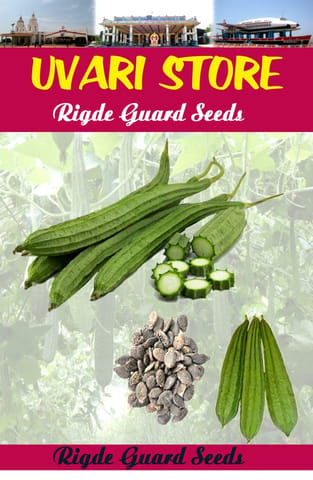 UVARI Ridge Guard Seeds - 50 Seeds