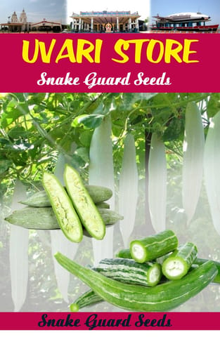 UVARI Snake Guard Seeds - 50 Seeds Per Pack
