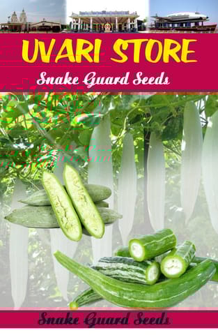 UVARI Snake Guard Seeds - 50 Seeds Per Pack