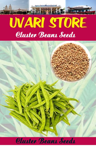 UVARI Cluster Beans Seeds - 50 Seeds