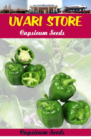 UVARI Capsicum Vegetable Seeds - 100 Seeds
