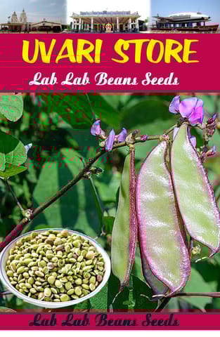 UVARI Lab Lab Beans Seeds - 50 Seeds