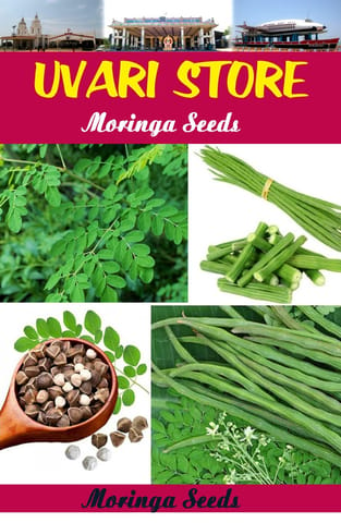 UVARI Moringa Seeds - 50 Seeds Per Pack