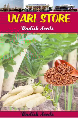 UVARI Radish Seeds - 50 Seeds