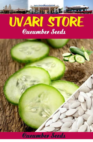 UVARI Cucumber Seeds - 50 Seeds