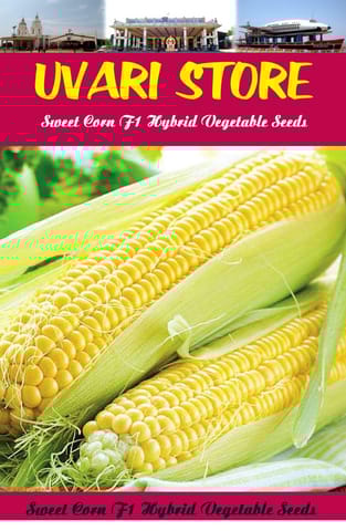 UVARI Sweet Corn F1 Hybrid Vegetable Seeds 500G Seeds