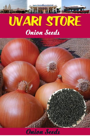UVARI Bheem Onion Vegetable Seeds - 50 Seeds