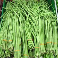UVARI Hybrid Vegetable Seeds Yardlong Beans - 500G Per Pack