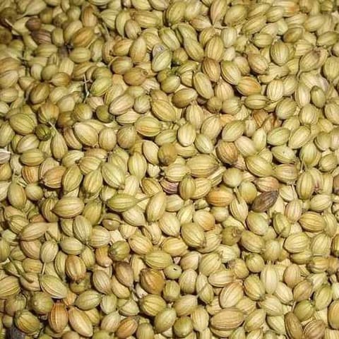 UVARI Coriender Seeds 500G Per Pack