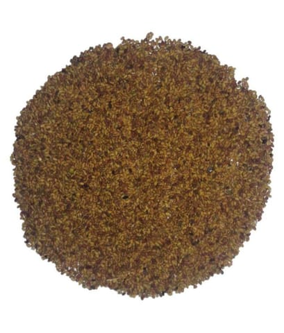 UVARI Alfalfa/Lucerne/Kuthirai Masala Seeds - Pack Of 250Gm