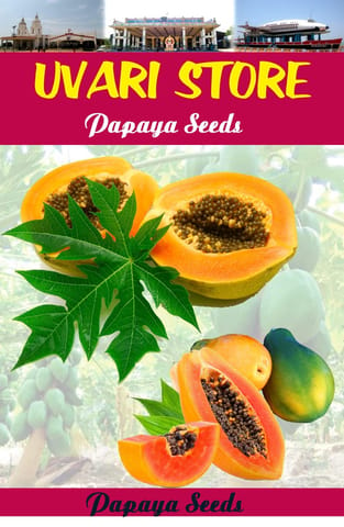 UVARI plants1021 Yellow Papaya Seeds Dwarf Variety Sweet Fruit - 20 Seeds Packet