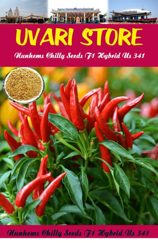 UVARI Vegetable Seeds Red Chilli Seeds - Chilly Seeds Vegetable Seeds Hybrid Home Garden Seeds-50 seeds