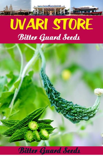 UVARI plants Chinese Big Bitter Gourd Vegetable Seeds -Set of 10 Pieces