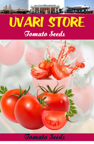UVARI High Yield F1 Ruby Hybrid Tomato Seeds (Pack of 50 Seeds)