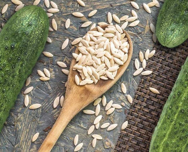 Feel Natural Cucumber Seeds