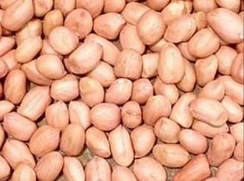 Pa.Nilakadalai