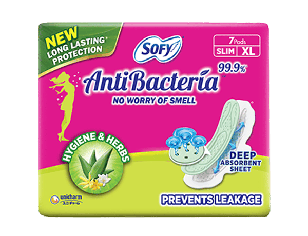 Sofy Antibact Xl 7Nos