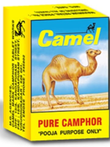 Camel Camphor Jar 50G