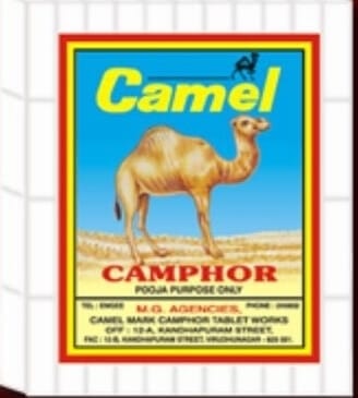 Camel Camphor Jar 100G