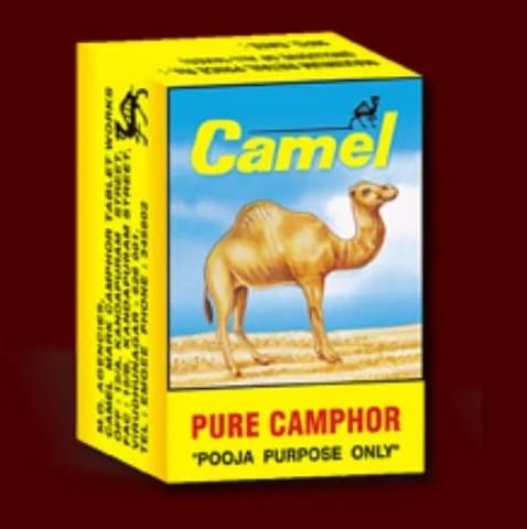 Camel Camphor No.1