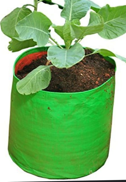 HDPE Tarpaulin Grow Green & Orange Bag 12 X 12