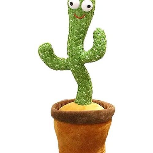 Dancing Cactus
Dancing Cactus