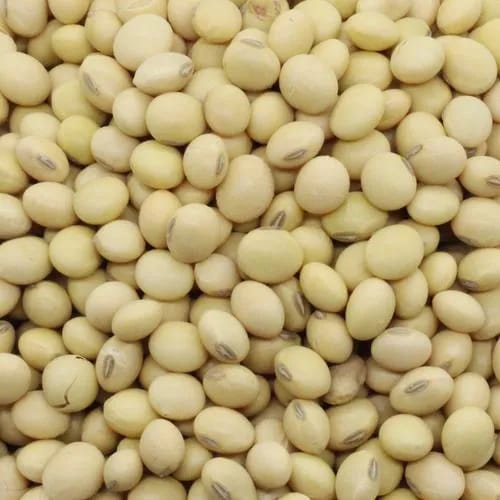 Soya beans