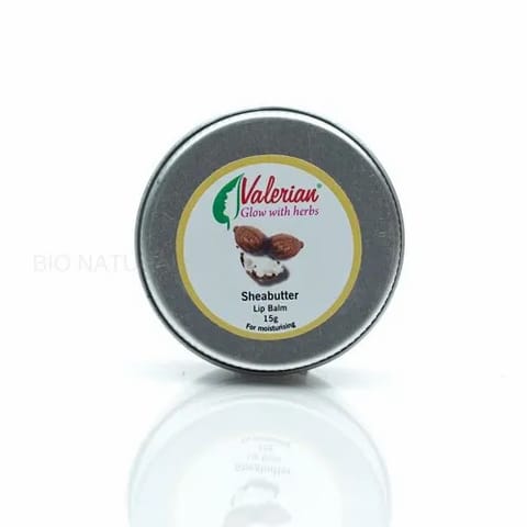 Shea Lip Balm 15Gm