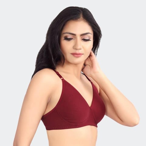 Prithvi Rosni Bra (Burgundy)