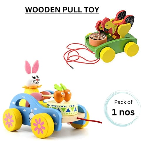 Wooden Pull Toy
