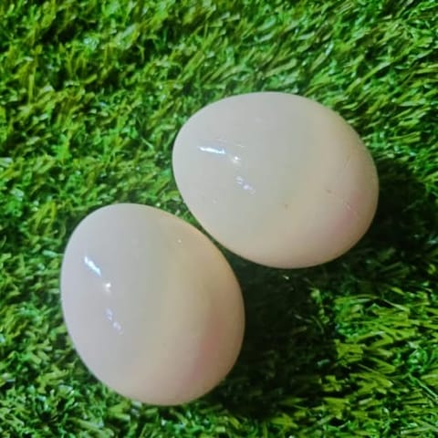 Wooden Egg Pair