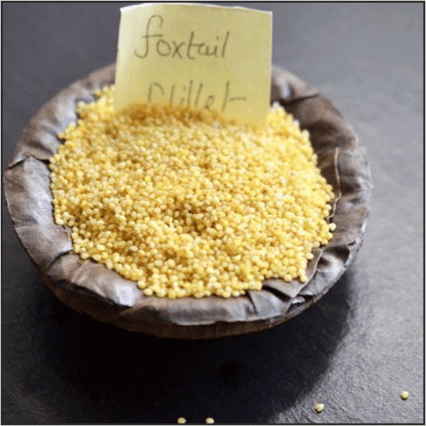 Nalam Foxtail Millet (Thinai) - 500gm