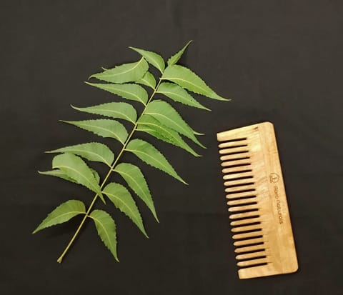 Neem Wood Shampoo Comb