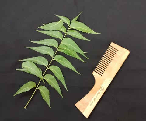 Neem Wood Comb (With Handle)