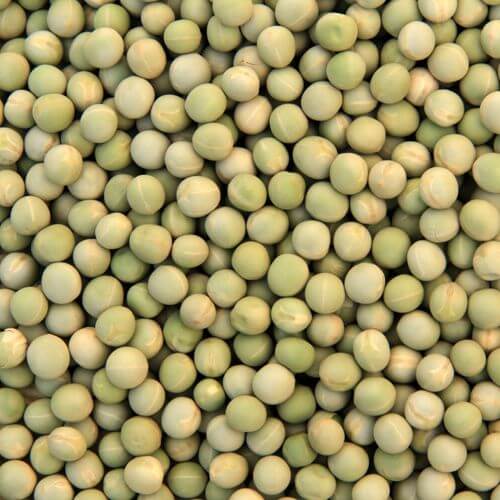 Green Peas – Pachai Pattani 250Gm