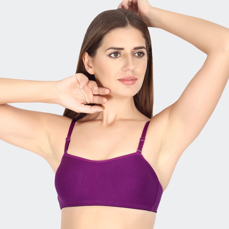 Prithvi Glory Bra For Women Dark Lilack