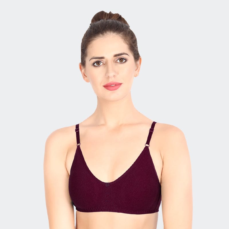 Prithvi Quincy Bra For Women Wine