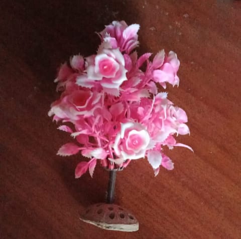SM Ange Aquarium decorative Accessories